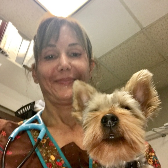 Meet your Posher, Jeannie - Picture 8 of 8